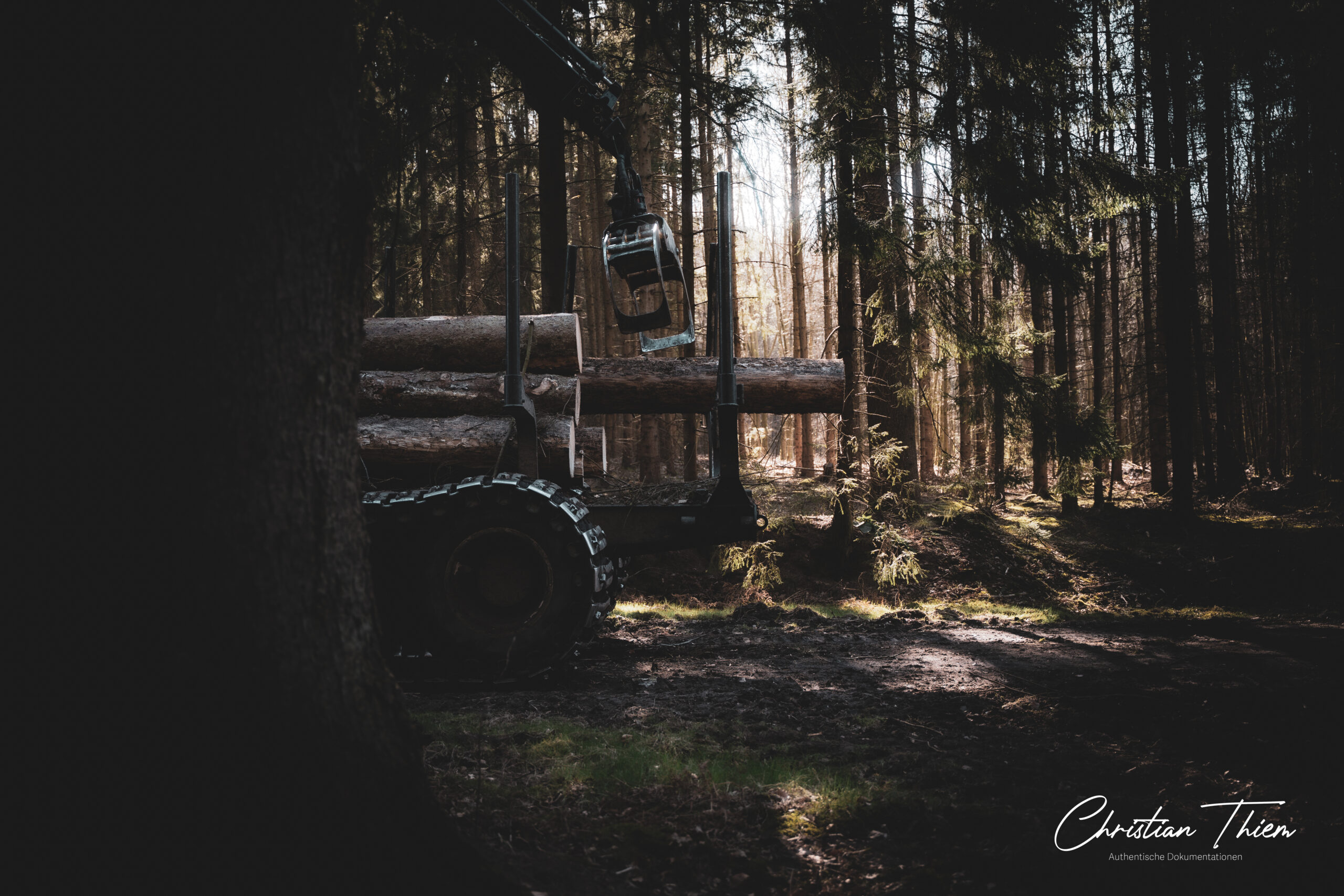 Forwarder im Forst
